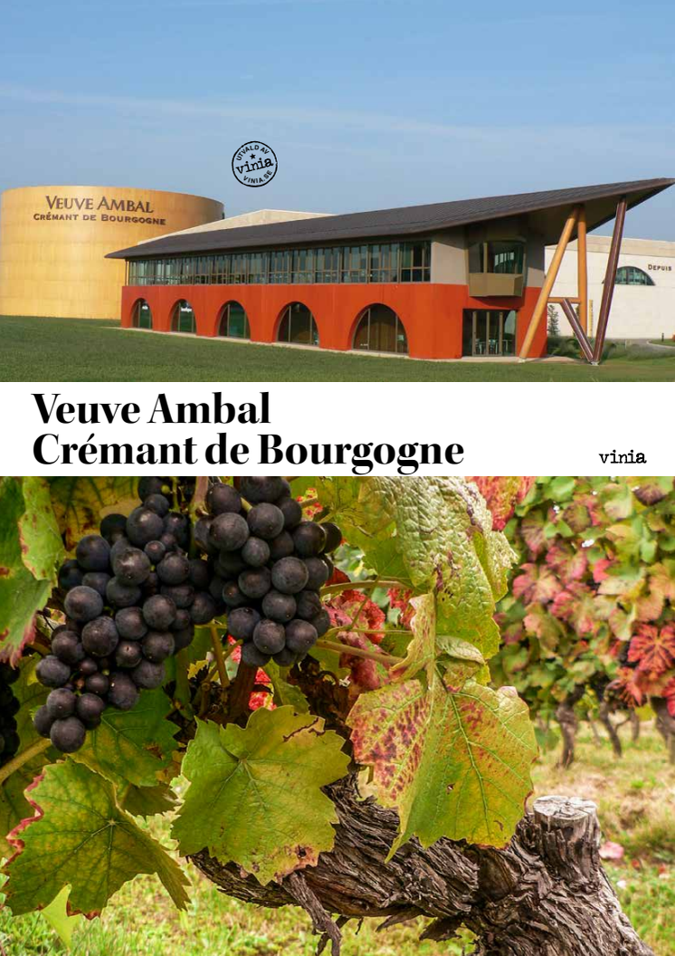Lansering - Ekologisk Crémant de Bourgogne från Veuve Ambal det fasta sortimentets enda ekologiska Crémant