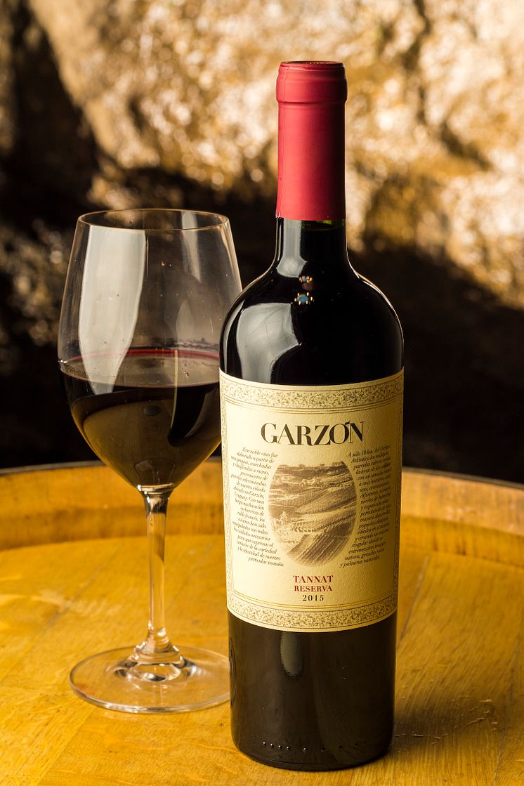 Bodega Garzón Tannat Reserve 