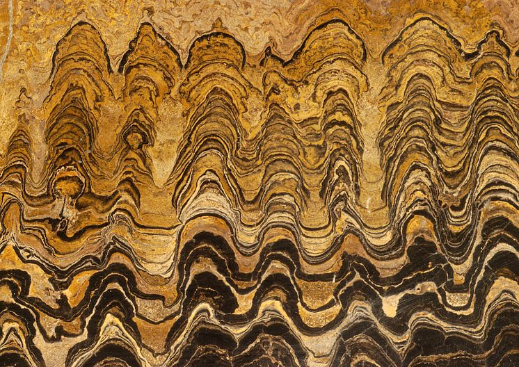 Stromatoliter