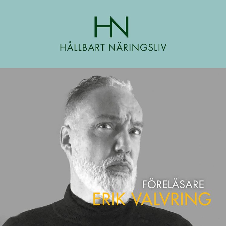 Erik Valvring