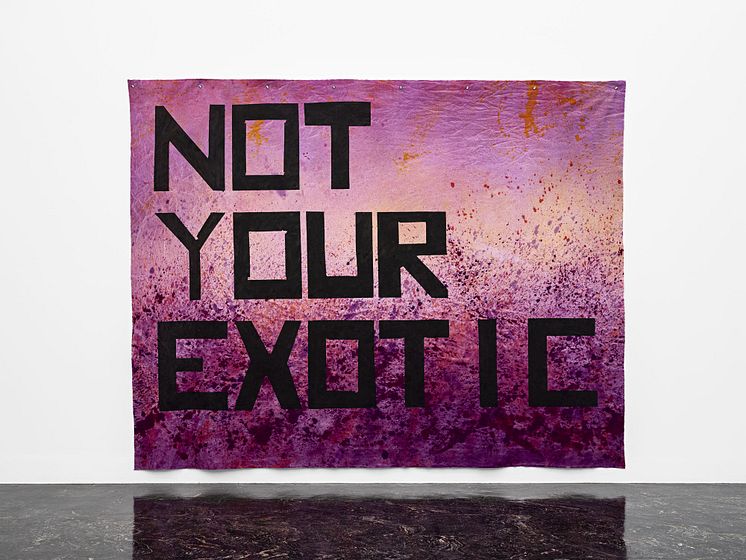 Kiyoshi Yamamoto/ Not your exotic