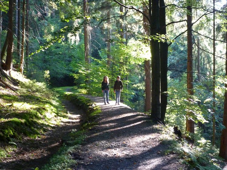 Goslar: Oberharzer i Niedersachsen