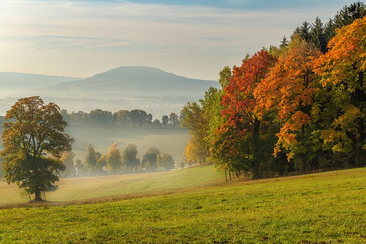 Herbst Sonne_Ausblick_vom_Kalten_Muff_richtg.ANA_Foto_TVE_Photoron_Ronny Küttner (1 von 1)-6 - Kopie