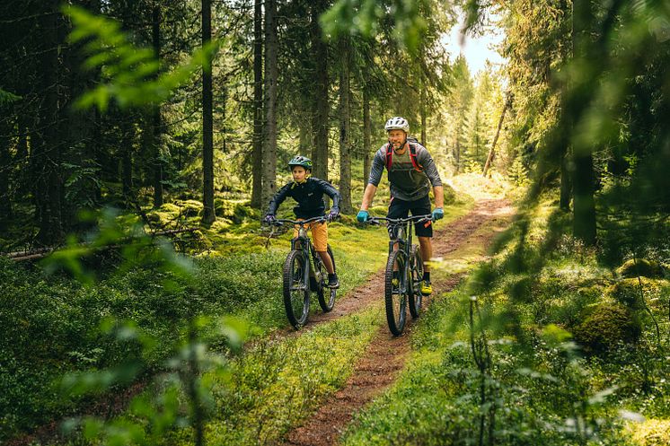 Biking Dalarna: Säfsen
