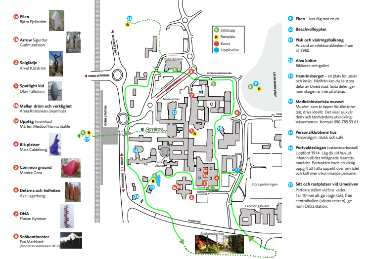 Karta över promenadstråket runt Norrlands universitetssjukhus i Umeå