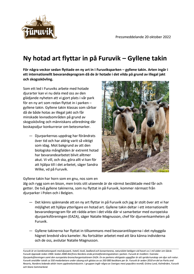 Ny hotad art flyttar in på Furuvik - Gyllene takin.pdf