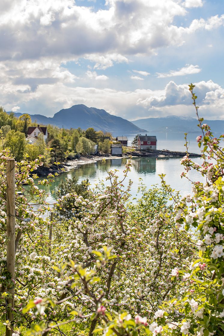 Hopp av og på båten underveis for å utforske fjordbygdene Lofthus, Aga og Nå.