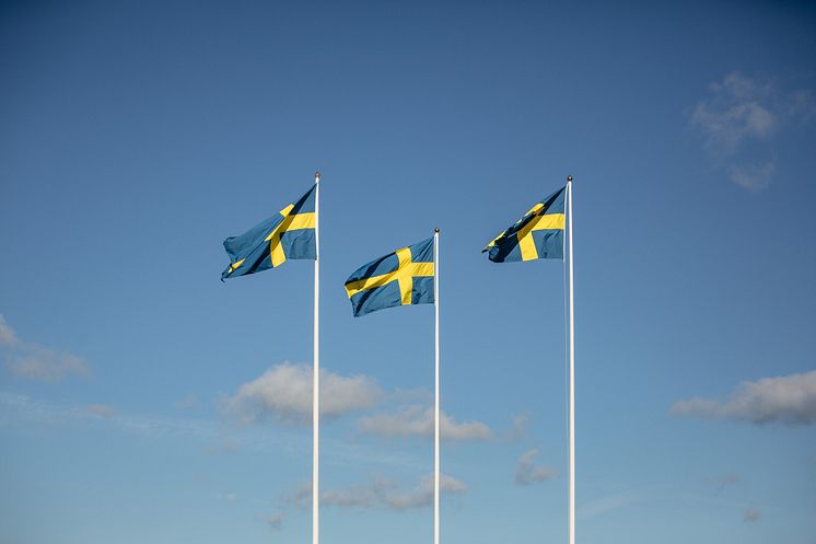 Flaggorna vajar på Tjolöholms Slott