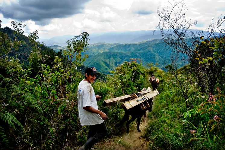 Bæredygtig skovbrug i Honduras