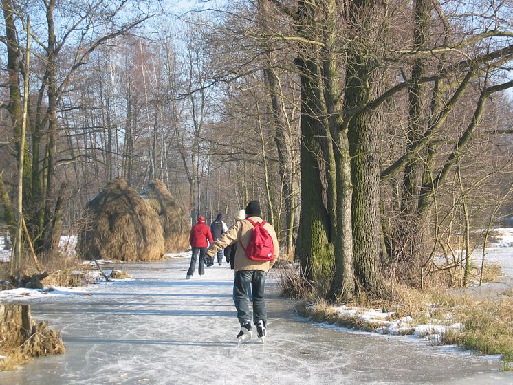 Skøjteløbere i Spreewald