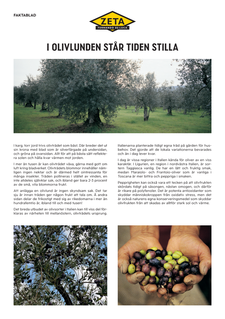 Fakta om italienska oliver