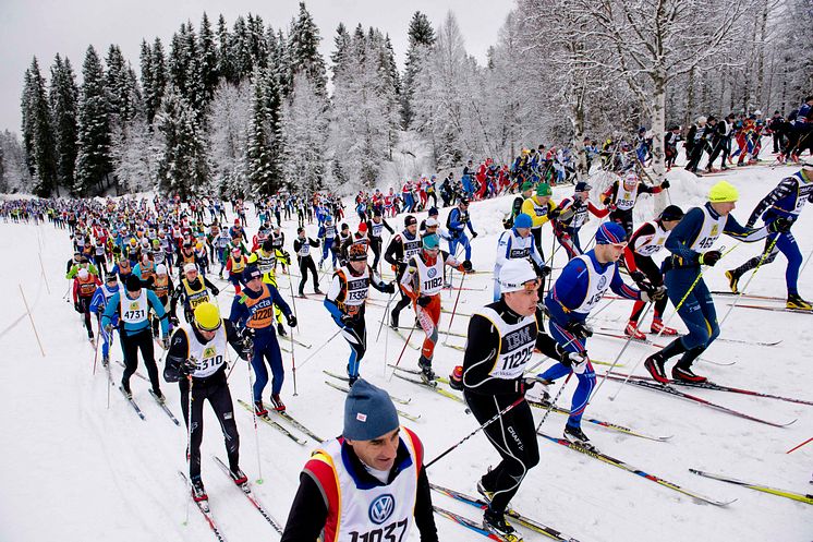 Stockholm har flest deltagare anmälda till Vasaloppets vintervecka 2015 