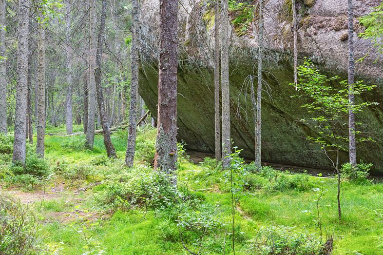 20244606-stort-klippblock-i-skogen.jpg