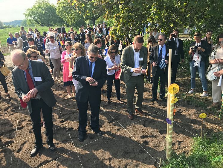 Biologiska mångfaldens dag 2019