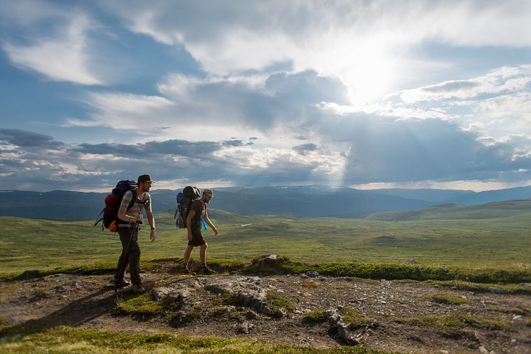 Gudbrandsdalsleden, St.Olav Ways, Dovrefjell - Photo - David Tett.jpg