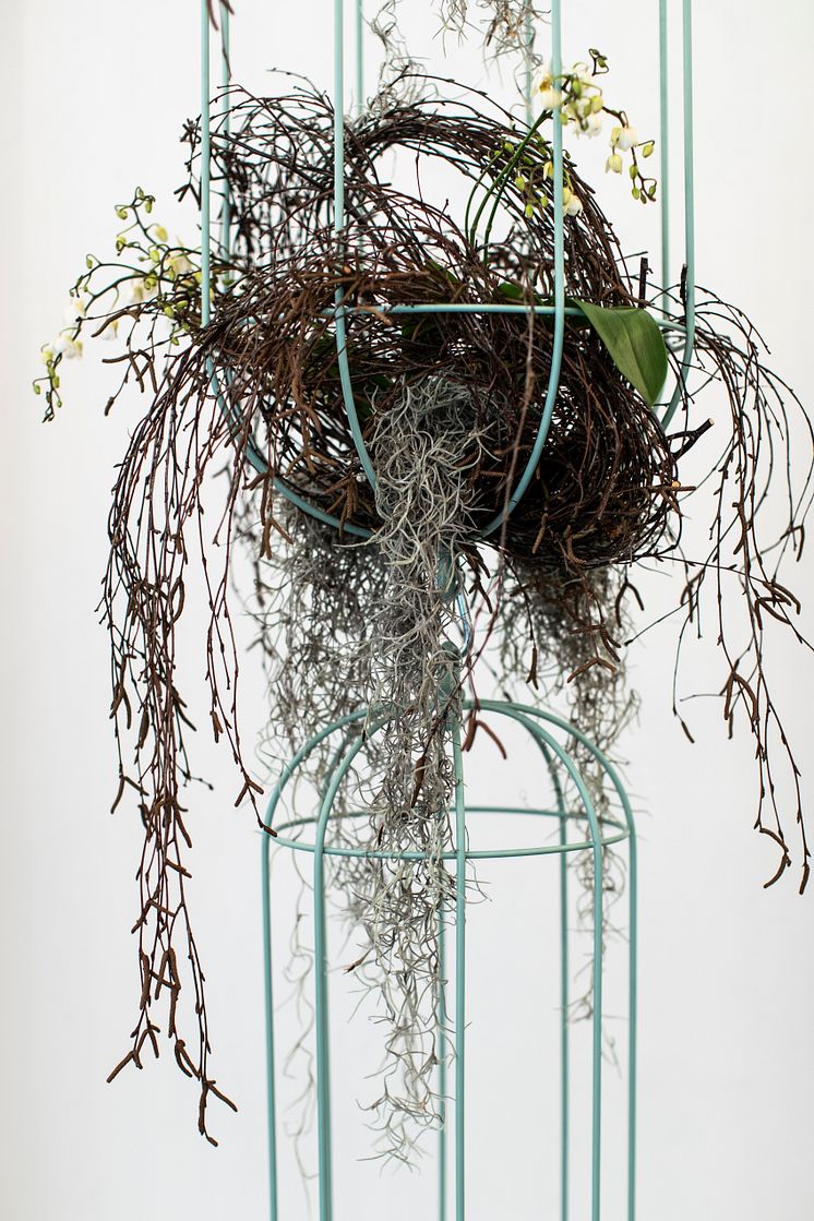 Cacti kokong / hanging baskets, design Anki Gneib