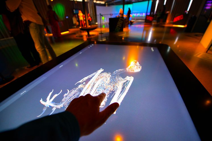 Visualiseringcenter C