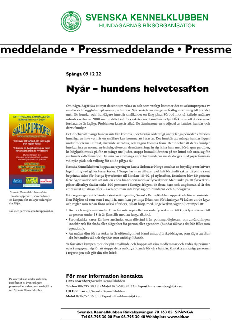 Nyår – hundens helvetesafton