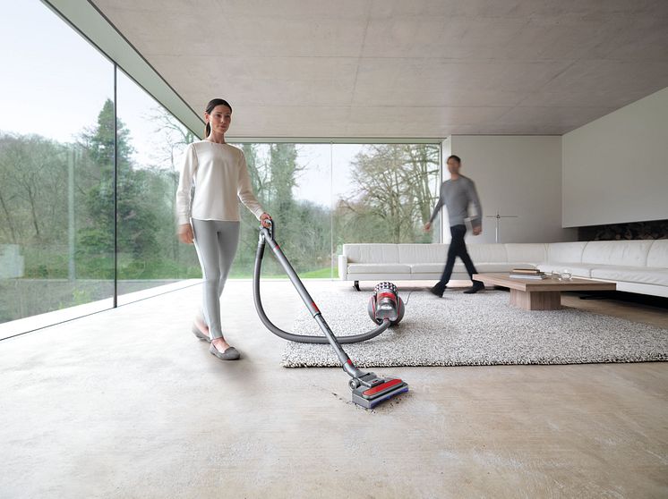 Dyson Cinetic Big Ball 2