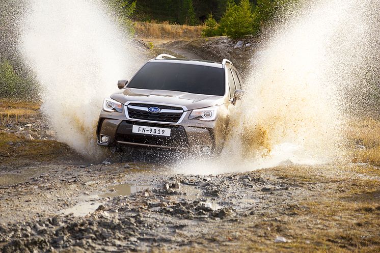 Subaru Forester XT