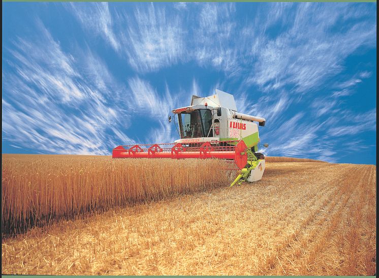 CLAAS LEXION 480