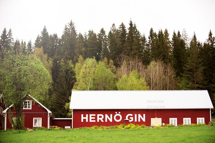 Hernö Gin