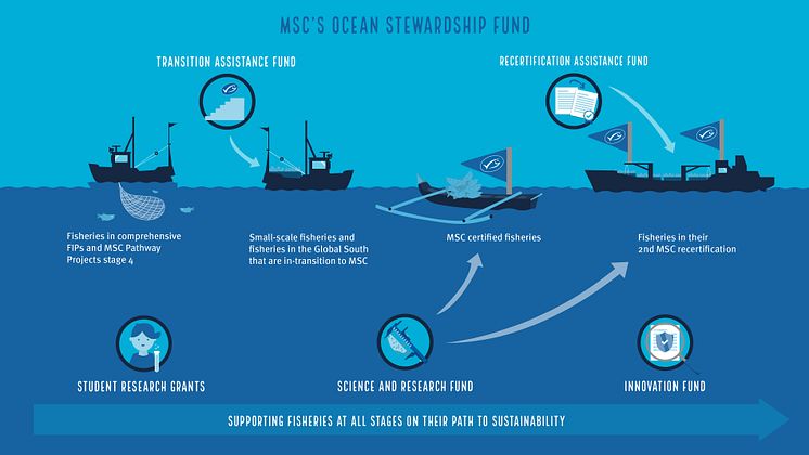 RS13775_Infographic_Pathway_Website_912x513_30.09-01 - FINAL.jpg