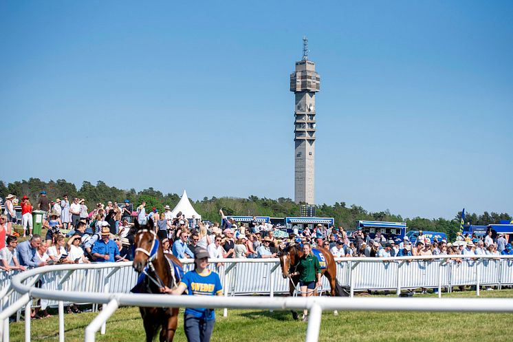 Nationaldagsgaloppen 2019