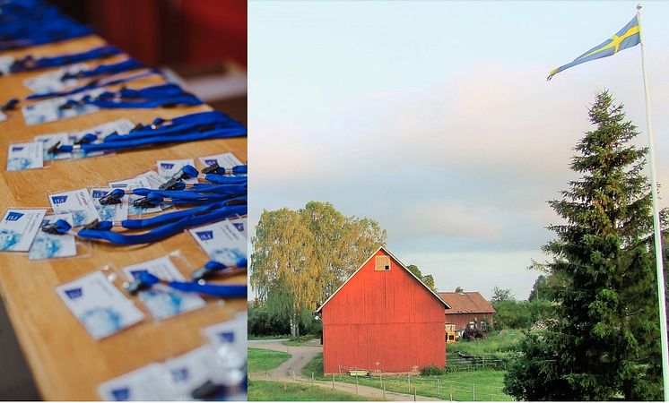 ​Hjälp till att namnge ny storsatsning mot övergödning i sjöar och hav!