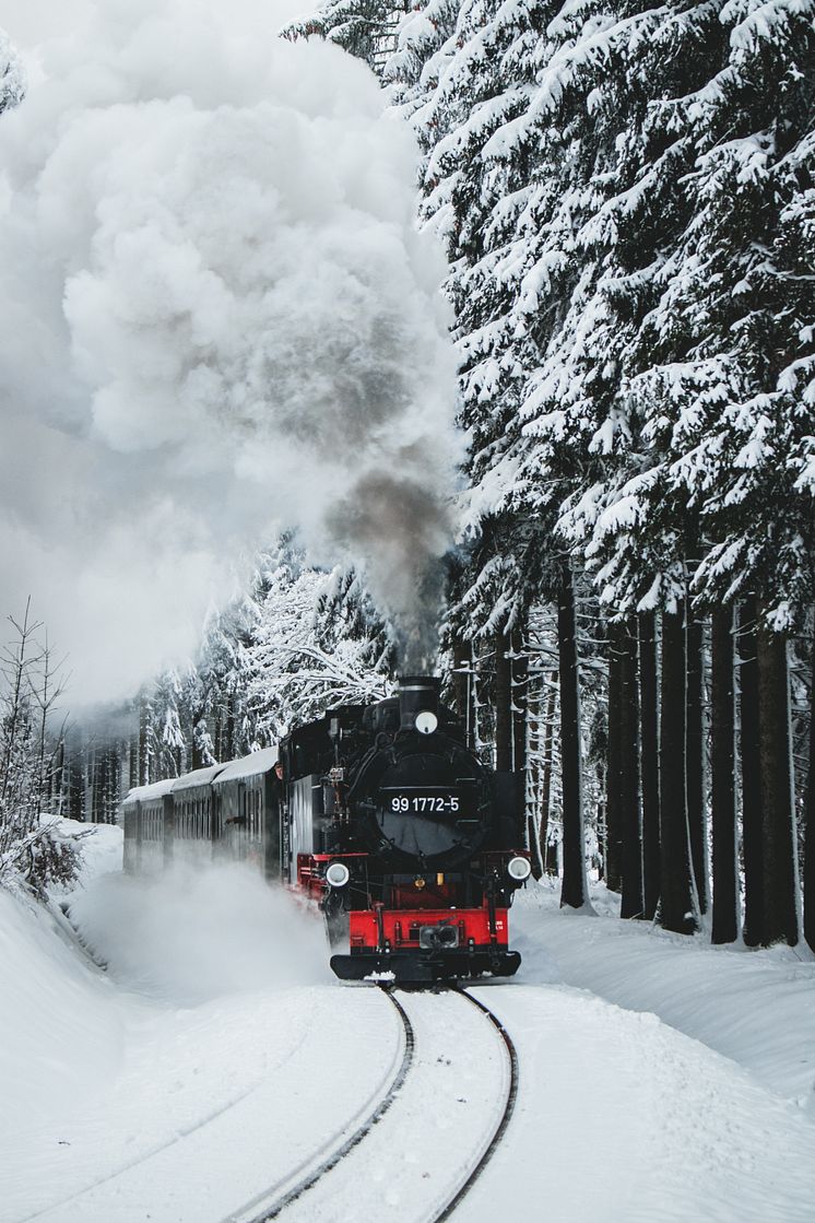 zwischen Sehmatal und Oberwiesenthal_Foto TVE_Patrick Eichler