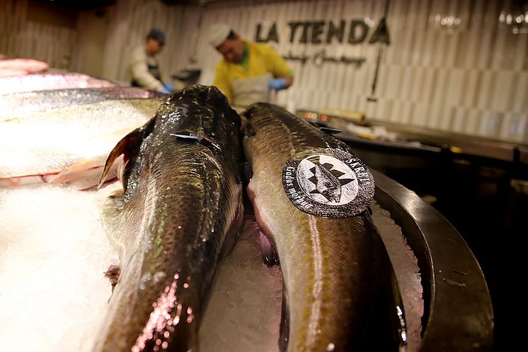 Skrei, fiskehandler, madrid