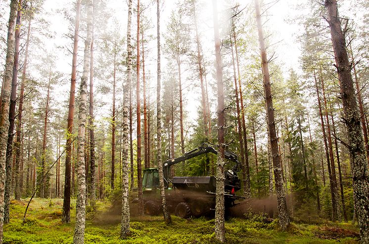 Spridning av aska från biobränsleeldade kraftvärmeverket på Torsvik