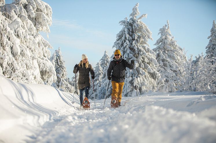 Oberwiesenthal_Fichtelberg_Winter_Schneeschuhwandern Foto TVE_Studio2media.jpg