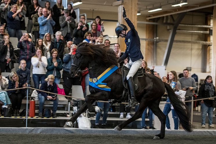 Caspar Hegardt and Oddi från Skeppargården at Elmia Icelandic Power Show 2017.