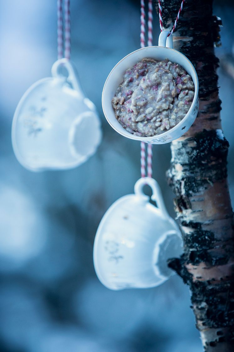 Hold småfuglene gode og mette med hjemmelaget fuglemat