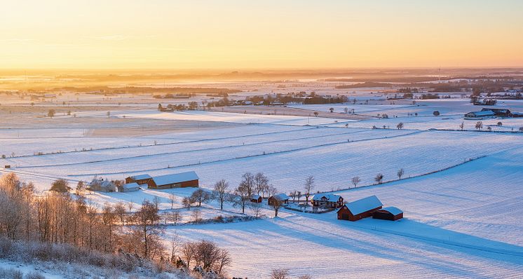 vinter-gård-åkrar-iStock-1193328082