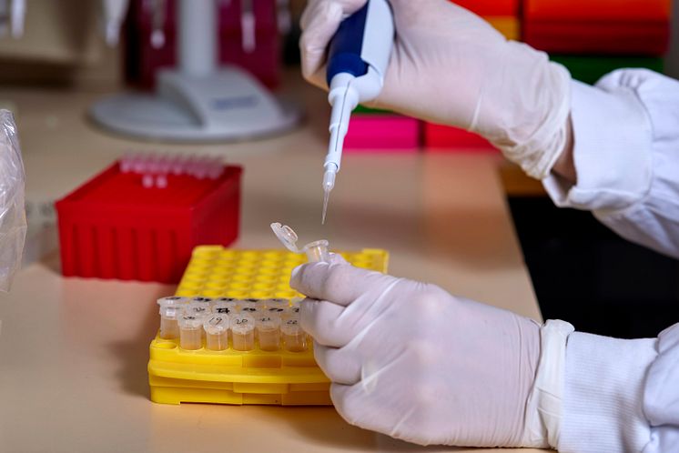 Pipettering av prover för analys.jpg