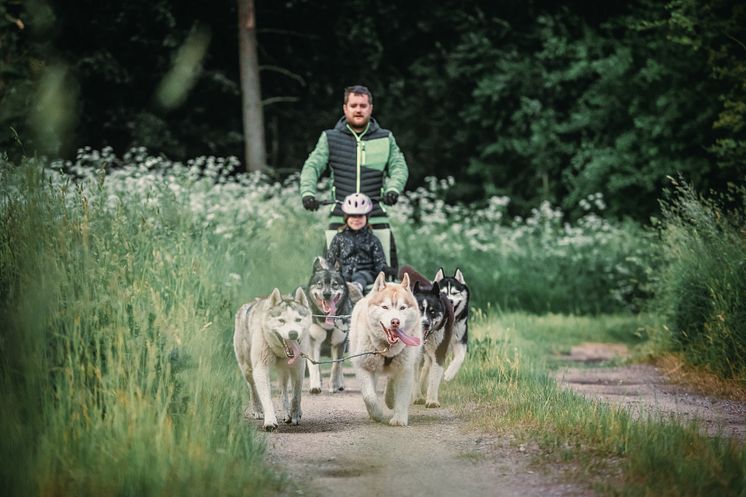 Pinewood_Huskys_C_Pinewoodhuskys.jpg