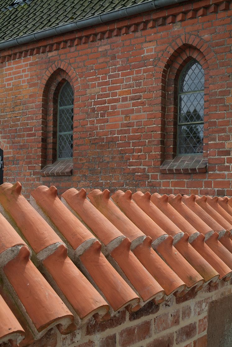 I skyggen af Roskilde Domkirke 6