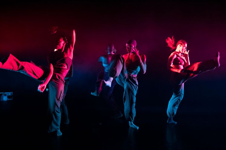 Company Nicolas Huchard - The barefoot diva