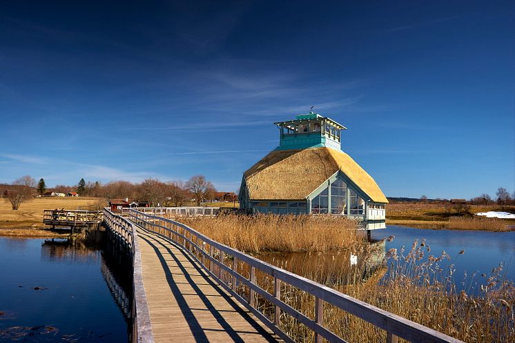 Naturum Hornborgasjön