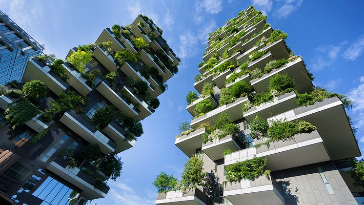 sustainable-architecture-green-vegetation