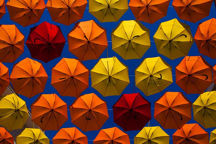 Halloween på Liseberg bjuder på paraplyer i mängder