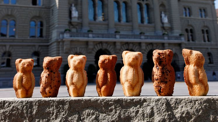 Mandelbaerli vor dem Berner Bundeshaus