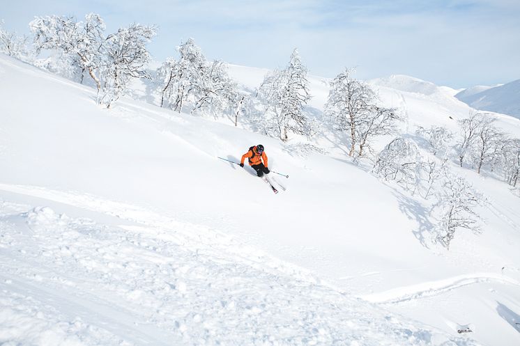 Skidåkning i Hemsedal februari 2014