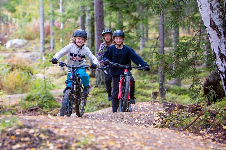 Cykla mtb och cross country