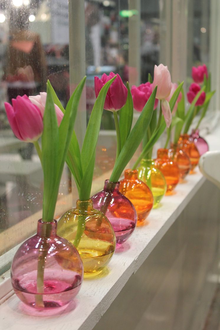 Tulpaner på rad i vackra vaser