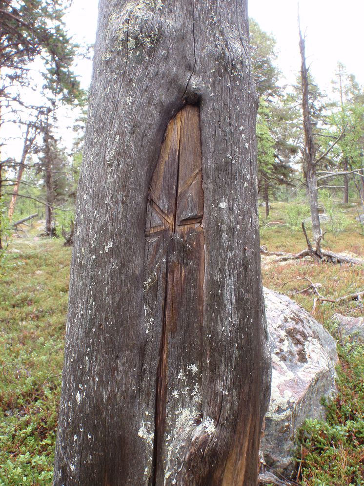 P9020193.JPG