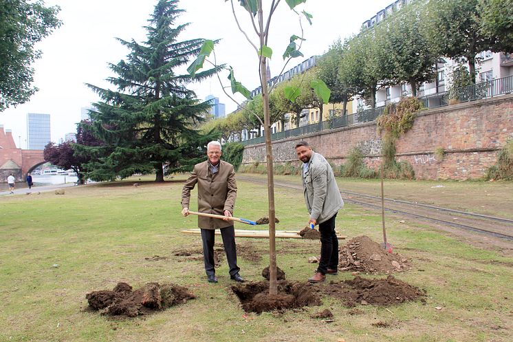 Pressefoto Zurich Baum-Pflanz-Aktion