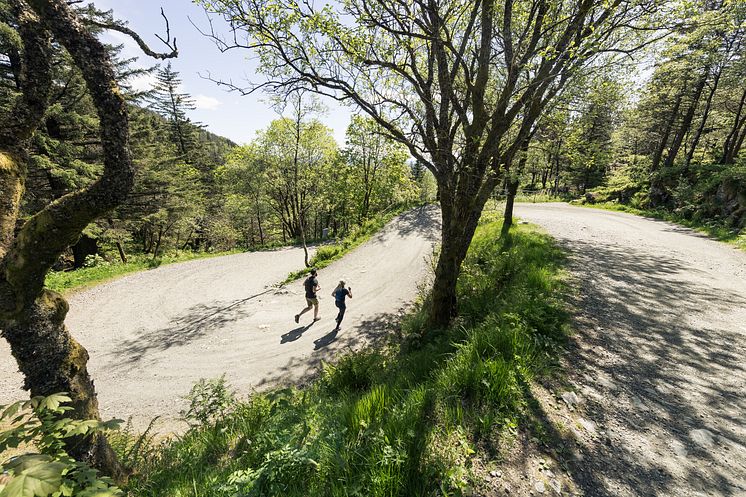 Bergans Fløyen Miljøbilde